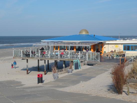 Aphrodite Met Zonnig Terras, Eigen Keuken, Verwarmd Hotel-Zwembad, Nabij Dorp, Duinen En Strand Hollum  Exterior foto